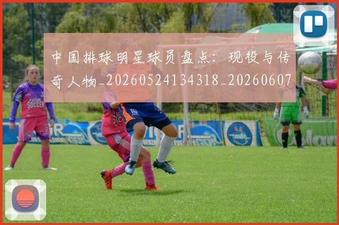 中国排球明星球员盘点：现役与传奇人物_20260524134318_20260607160606