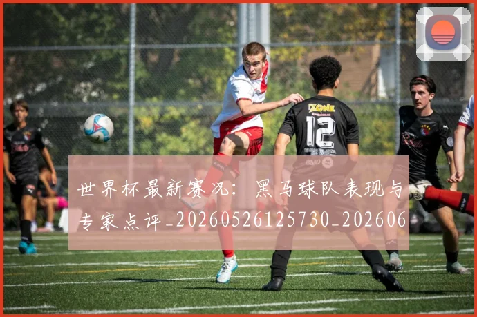 世界杯最新赛况:黑马球队表现与专家点评_20260526125730_20260607160450